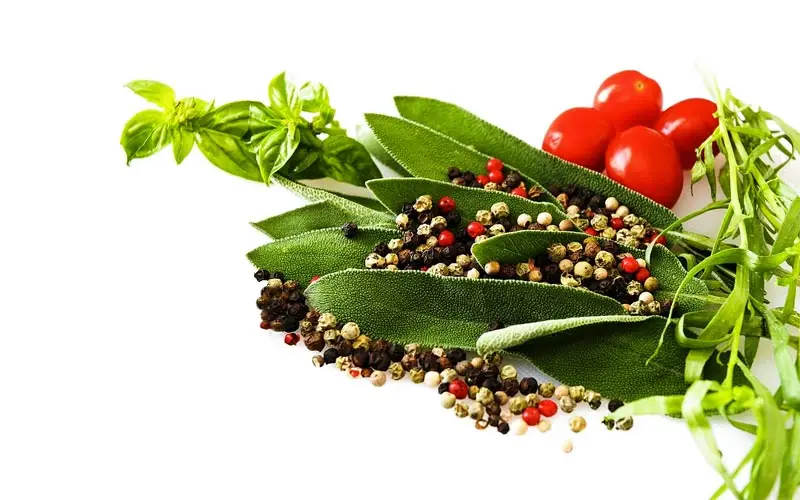 Fresh herbs and vegetables
