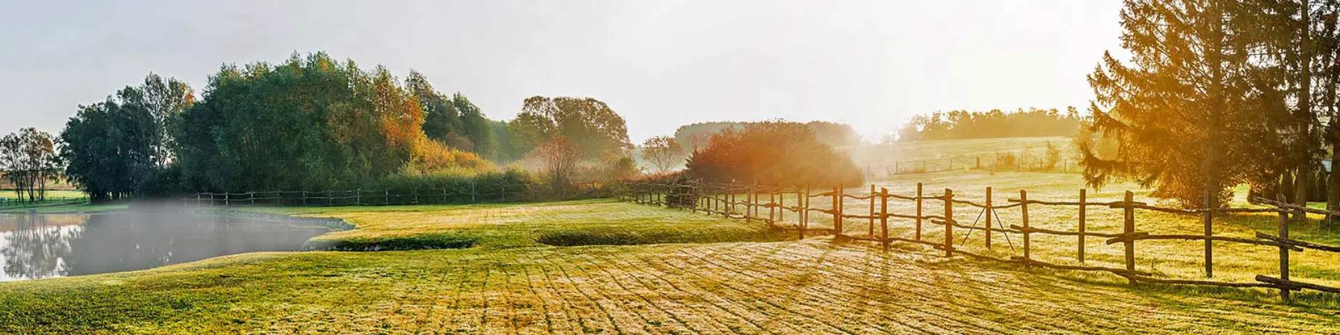 GariMark Foods countryside